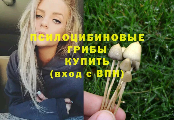ешки Коряжма
