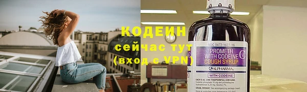 бошки Кодинск