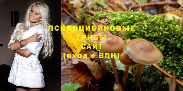 бошки Кодинск